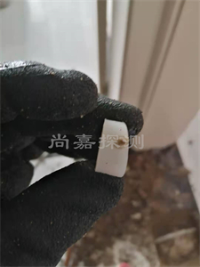 蒋湖农场暖气管道漏水检测