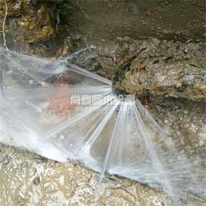 蒋湖农场消防管道漏水检测